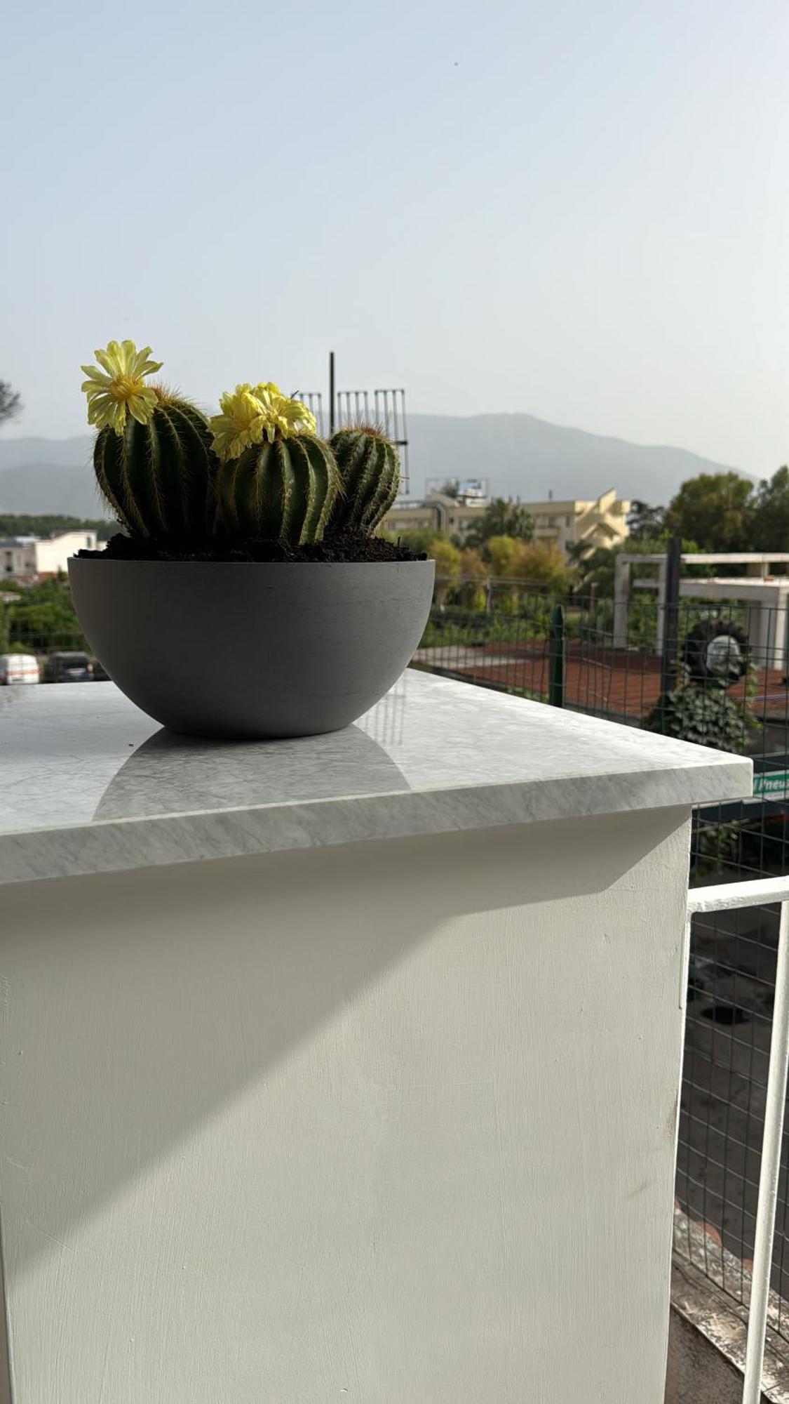 Bed and Breakfast Vesuvius Pompeii Exterior foto